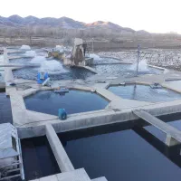 کارگر جهت کار در پرورش ماهی قزل آلا