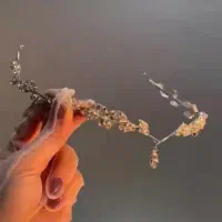 تل  اکسسوری مو ریسه گردنبند تاج