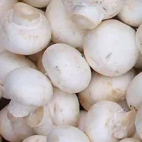 پخش قارچ درجه ۱و۲و۳ عمده و جزیی از شرکت