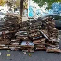 خری د کارتن ضایعات هستم
