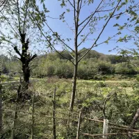 فروش زمین به متراژ ۶۰۰ متر مربع