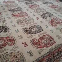 دو عدد فرش ۱۲ متری در حد نو|فرش|زاهدان, |دیوار