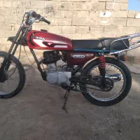 کفتر|پرنده|کرباسک, |دیوار