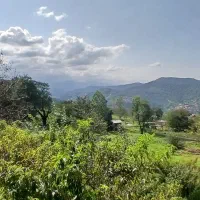 فروش زمین و خانه|فروش خانه و ویلا|آلاشت, |دیوار