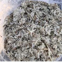 تفاله چغندر درجه یک|حیوانات مزرعه|پارس‌آباد, |دیوار