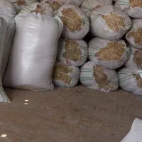 اجاره دامداری|اجارهٔ دفتر صنعتی، کشاورزی، تجاری|احمدی, |دیوار