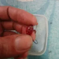 به شرط کهنه|جواهرات|دزفول, |دیوار