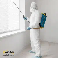 موریانه زدایی سمپاشی موریانه