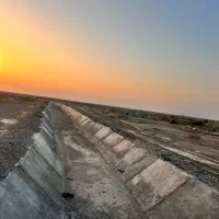 استخدام کارگو