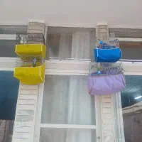 سهره
