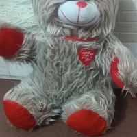 خرس زیبا و نو