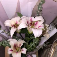 لیلیوم دسته گل اورینتال|گل و گیاه طبیعی|قم, زنبیل آباد|دیوار