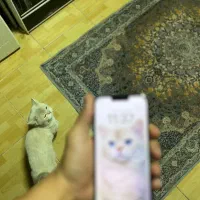 13 pro max 256 za|موبایل|تهران, نازی‌آباد|دیوار