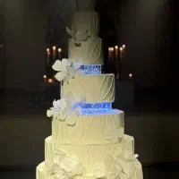 کیک های رویایی عروسی