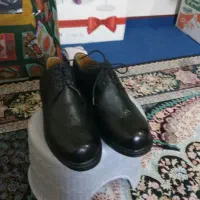 کفشهای چرم طبیعی نووکتانی های مردانه رسمی ومجلسی