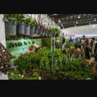 استخدام نیرو پشت میز