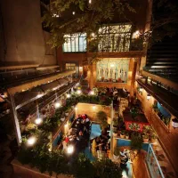 کارگر ساده- ظرفشور