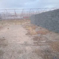 ۹هزار متر چهار دیواری زمین و باغچه و گلخونه|فروش زمین و ملک کلنگی|پاکدشت, پاکدشت (مامازند)|دیوار