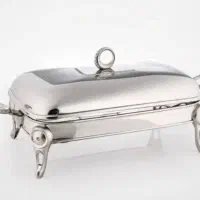 ظرف سروغذا وارمردار