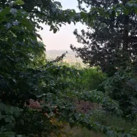 تور