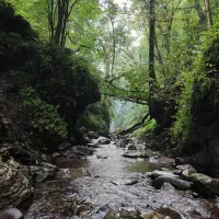 تور یکروزه گیلانگردی
