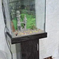 آکواریوم