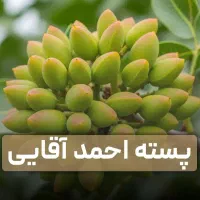 انواع نهال پسته عناب گردو بادام آلو سنجد،به.زرشک