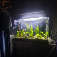 اکواریوم ۸۰سانتی شیشه خم همرا بادرب|ماهی|اصفهان, عطار نیشابوری|دیوار