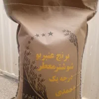 عرضه برنج عنبربو شوشتری یاران و کامفیروزی