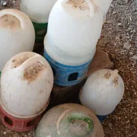 آبخوری و دان خوری و دان مرغ