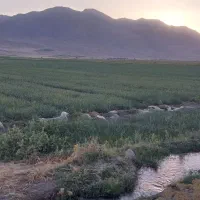 اجاره-15-هکتارزمین-کشاورزی