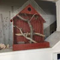 قفس پرنده مناسب شیک و زیبا