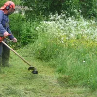 انجام کلیه کارهای باغبانی