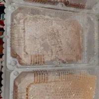 عسل طبیعی گون همراه با برگه ازمایش