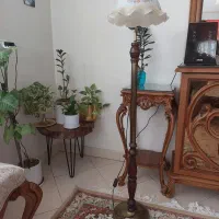 کنار سالنی و آباژور