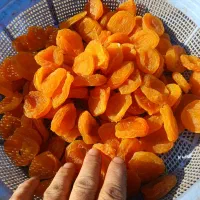 قیصی|عمده‌فروشی|آذرشهر, |دیوار