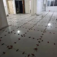 کاشی‌کاری سرامیک کاشیکار سرامیک نما سنگ نما سنگ|خدمات پیشه و مهارت|الشتر, |دیوار