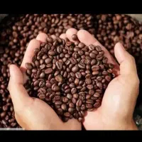 پخش قهوه اسپرسو و گلد