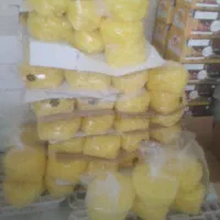 نبات|خوردنی و آشامیدنی|اصفهان, خواجو|دیوار