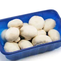 بسته بندی ‌و اسلایس قارچ