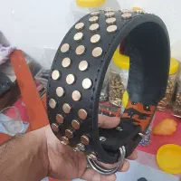 کمربند چرم سگ