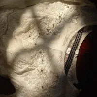 لباس نامزدی و فرمالیته