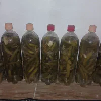 خیار شور محلی