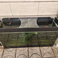 آکواریم بزرگ شیشه خم 10 میل شرکتی