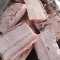 ماهی جنوب تازه