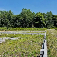 زمین-سنددار-جاده-هیرکانی-برای-ساخت-کلبه