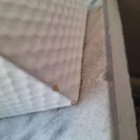 گلدان سرامیک|گل و گیاه طبیعی|مشهد, شفا|دیوار