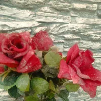 خونه تو برای عید با گلهای خارجی رنگی کن|گل مصنوعی|قم, انسجام|دیوار