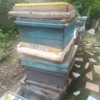 کندو کف باز شاسی از نوع تسوجی