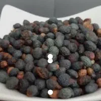 بنه پسته وحشی